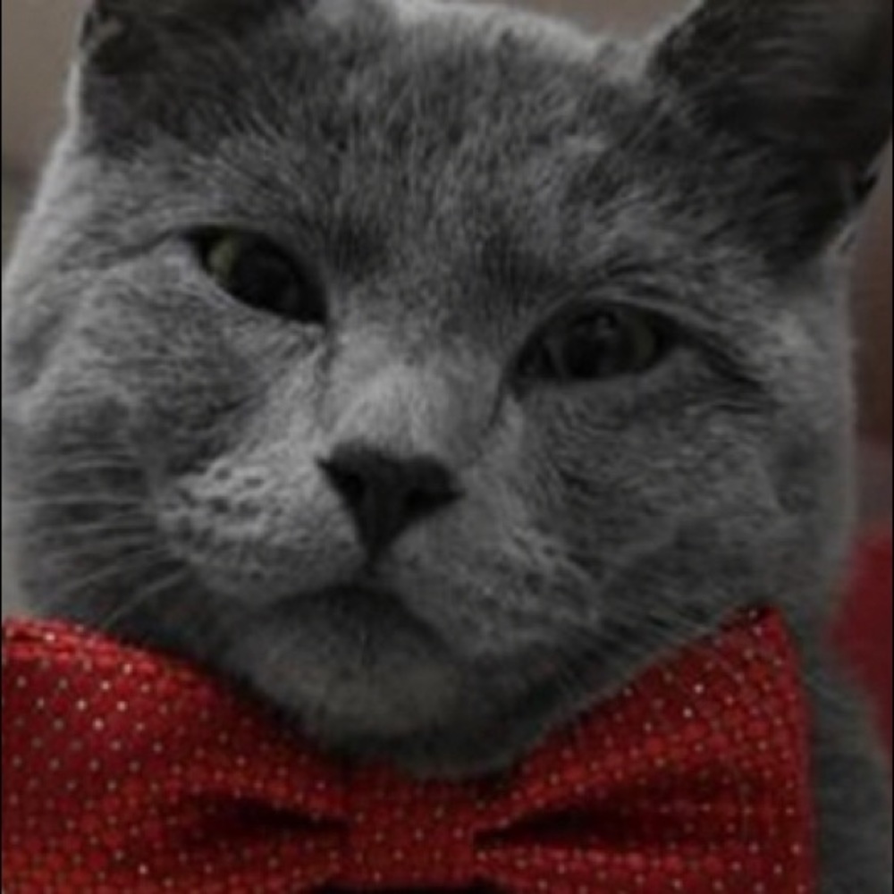 Meet your Posher, Chan